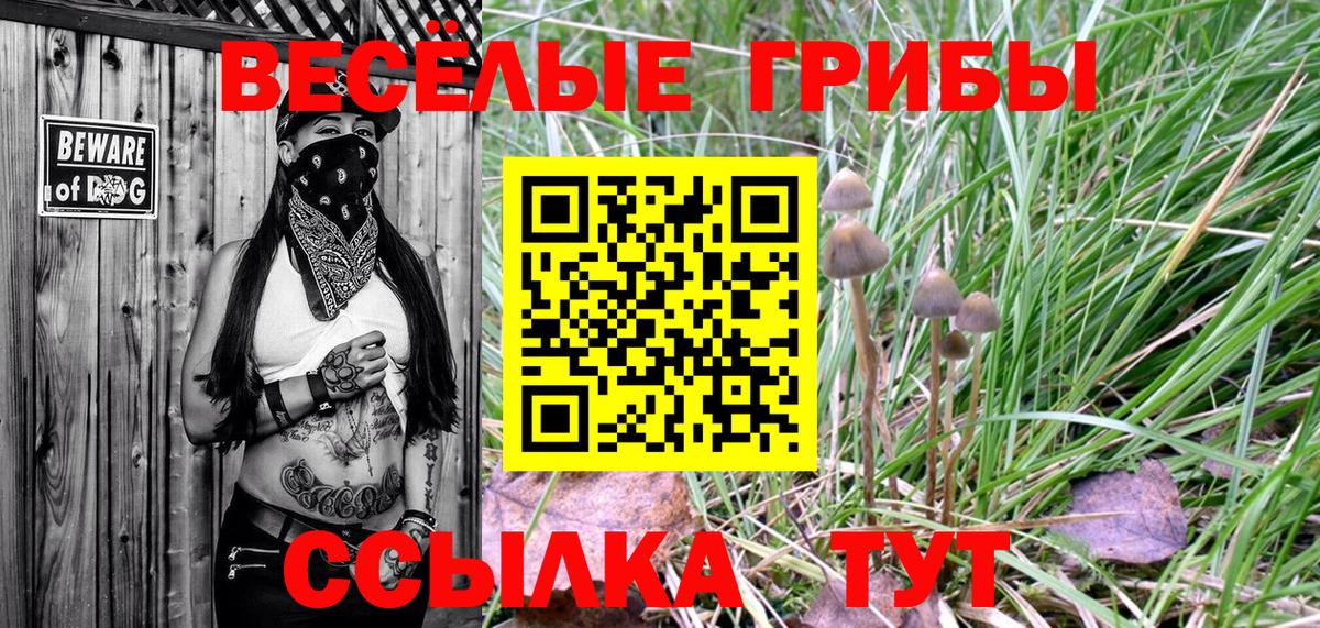 Галлюциногенные грибы мицелий Сорочинск